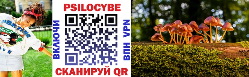 Псилоцибиновые грибы GOLDEN TEACHER  Рыльск 